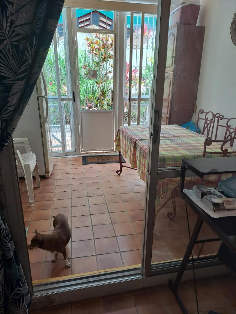 Appartement T2 Meuble Tout Confort Le Gosier  Exteriör bild
